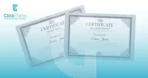 Transcript Translation Services for International