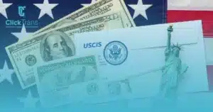 immigration document translation services
